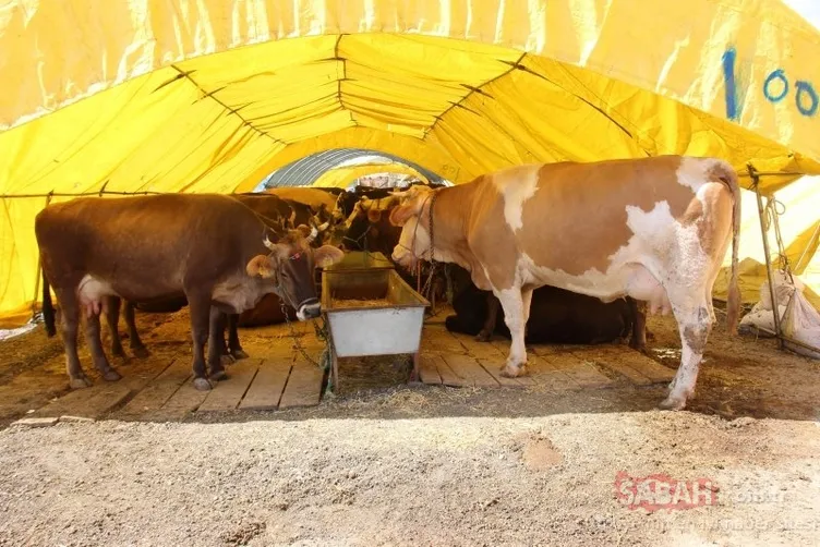 Güneş tutulması nedir, ne zaman, kısa bilgi Kurban Bayramı tatili kaç gün ve ne zamana denk geliyor? 2020 Kurban