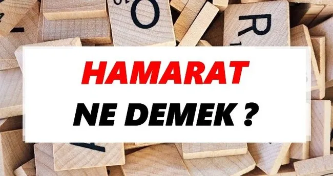 Hamarat Ne Demek? TDK’ya Göre Hamarat Sözlük Anlamı Nedir?