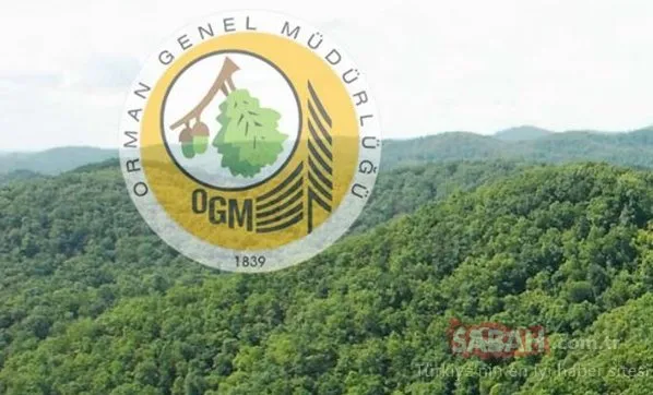 Orman Genel Müdürlüğü OGM personel alım listesini yayınladı: İşte il il o liste ve OGM başvuru detayları...