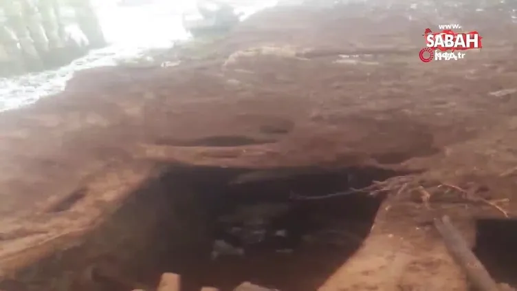 Bingöl’de ayılar 15 kuzuyu telef etti