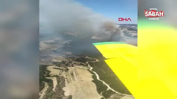 Manisa'da orman yangını çıktı | Video