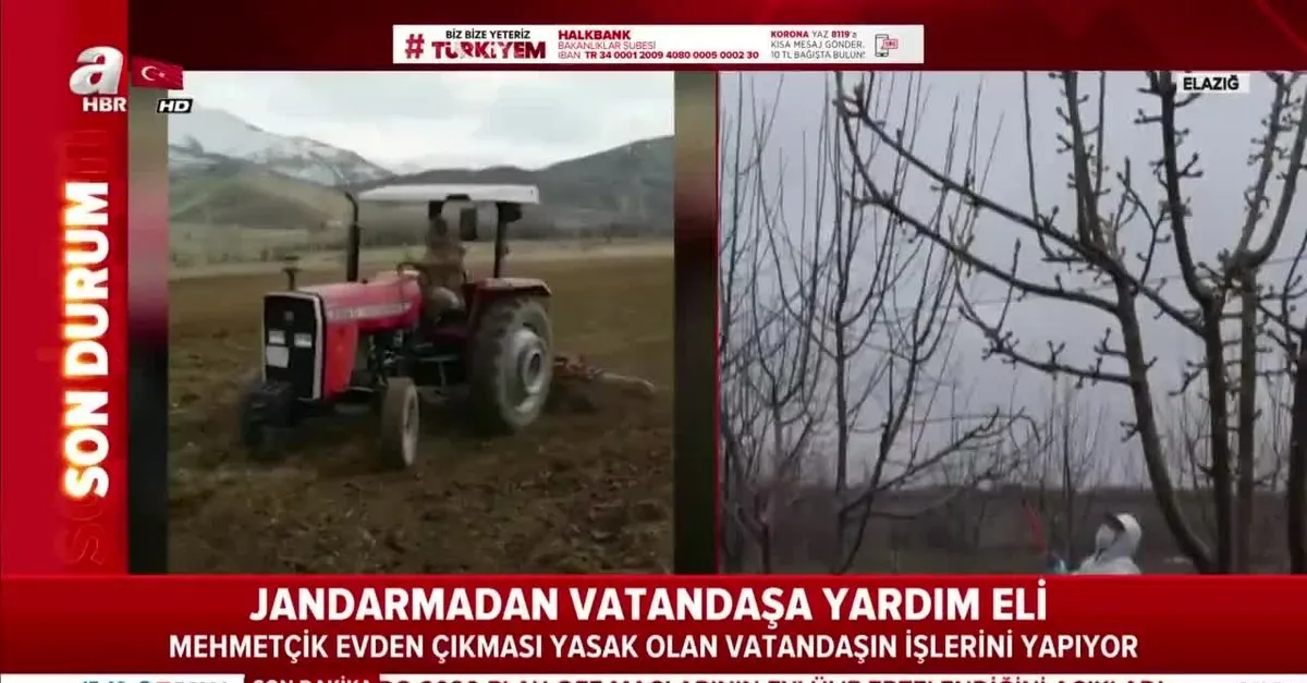 Jandarma Dan Yardim Eli Mehmetcik Evden Cikmasi Yasak Olan Vatandaslarin Islerini Yapiyor Vid