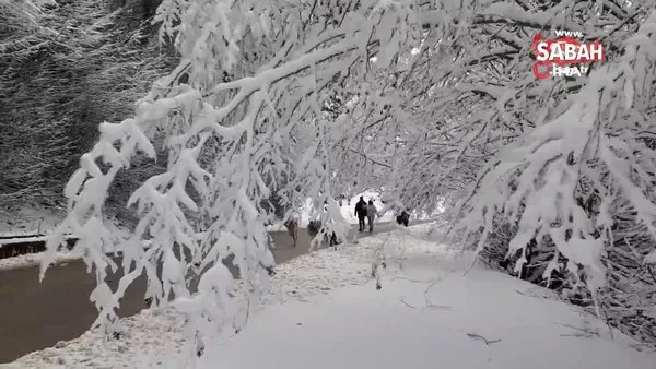 Karla kaplı Abant'ta kış güzelliği | Video