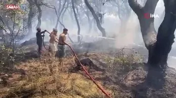 Antalya Muratpaşa'da orman yangını!