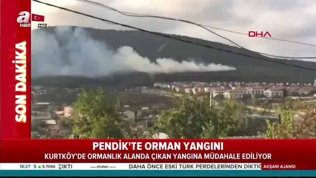 Pendik Kurtköy'de orman yangını