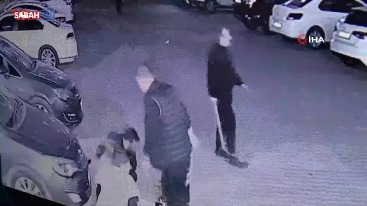 Diyarbakır'da başıboş sokak köpeği saldırısı: 3 yaralı | Video