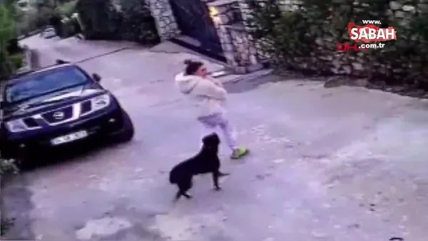 Muğla'de kızını ısıran köpeği ezdiği öne sürülen anneden açıklama 