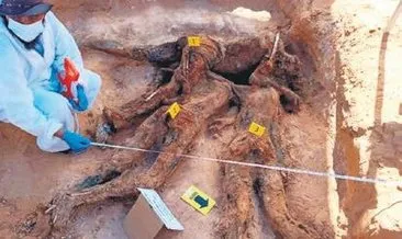 Toplu mezar kenti Terhune’de 10 ceset daha bulundu