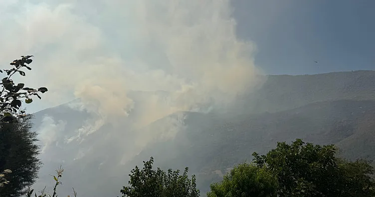 Bartın’da ormanlık alanda çıkan yangın kontrol altına alındı
