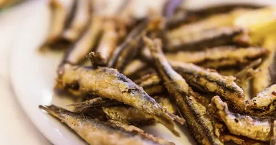 Acele misafir sofrası