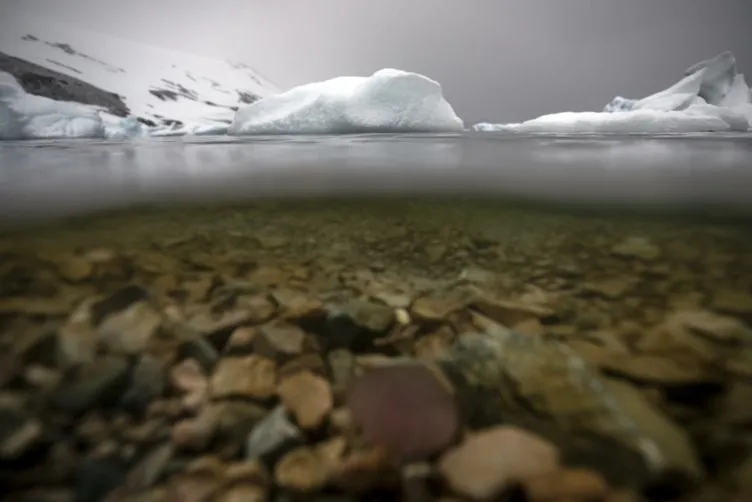 Antarktika’da doğanın mucizesi! Türk fotoğraf sanatçısının kadrajında