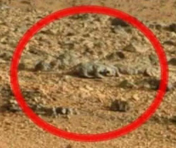Uzayda hayat var mı sorusuna NASA'dan net yanıt... Bu kareleri ilk kez paylaştılar