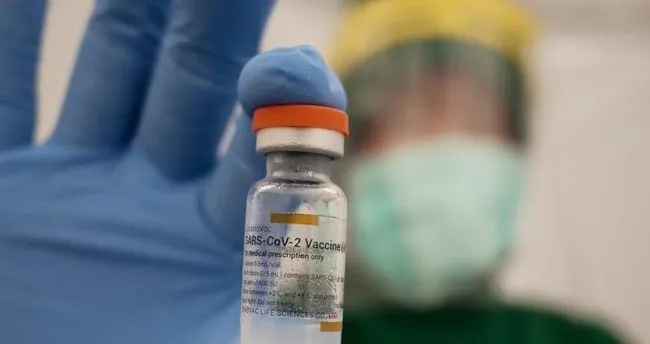 pfizer biontech mi sinovac mi iste sinovac asisi ve biontech asisi karsilastirmasi ve aralarindaki farklar saglik haberleri