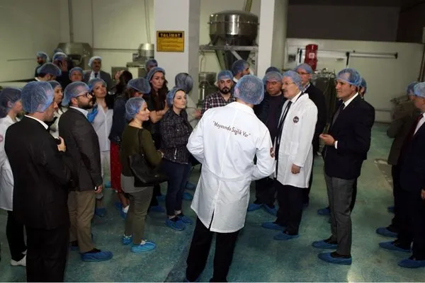 Türkiye’yi doyuran oksijeni bol zeytini lezzetli Balıkesir