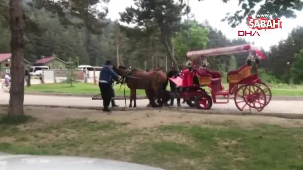 Bolu Abant'ta fayton çeken atlara yapılan eziyet kamerada
