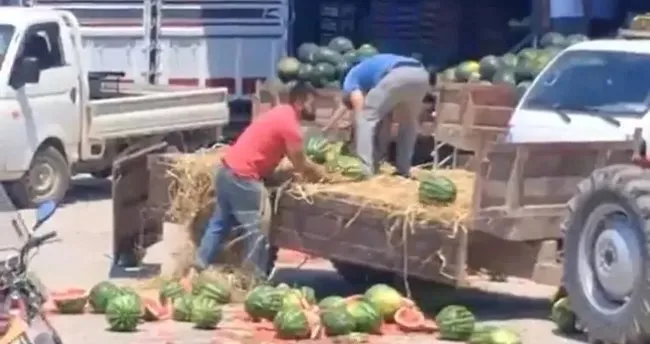 Karpuzlarını yere atarak parçalayan iki üreticiye rekor para cezası