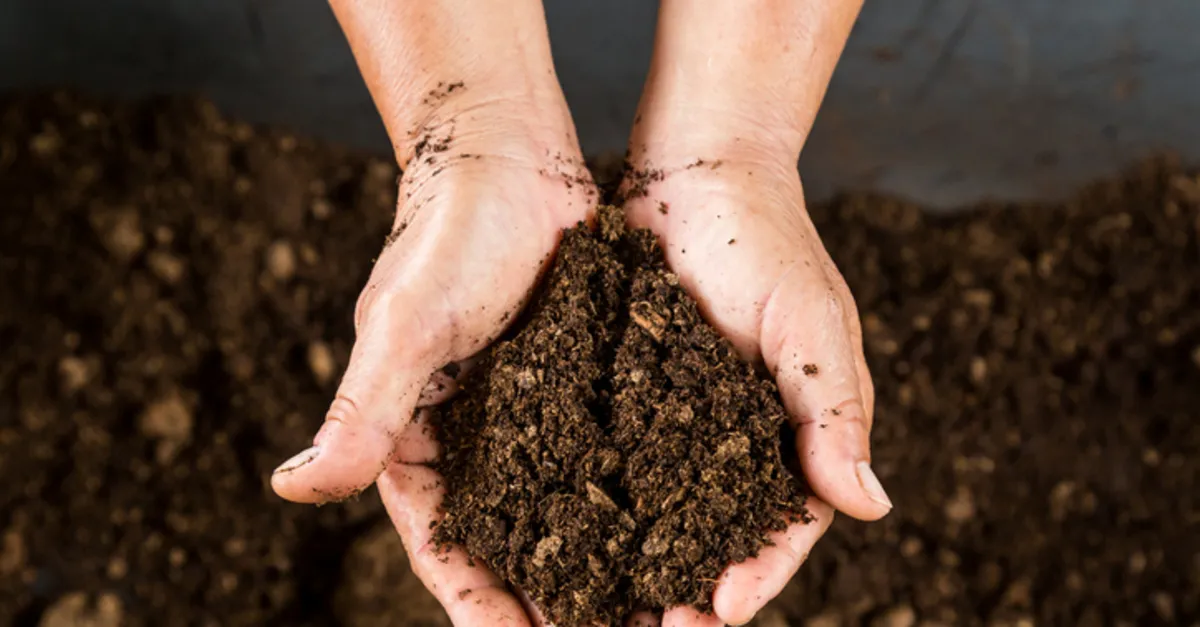 Terra Rossa Toprak Nedir? Terra Rossa Toprak Nerede Bulunur, Özellikleri Neler, Verimli Mi?