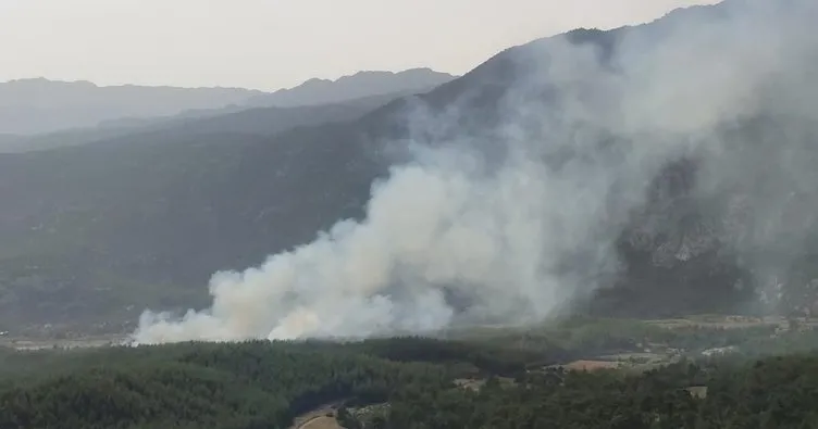 Antalya’da ormanlık alanda yangın! Bölgeye ekipler sevk edildi