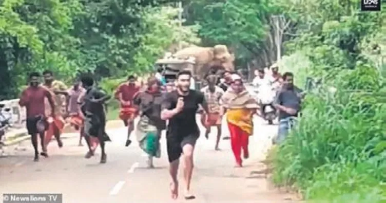 Onlar koştu fil kovaladı