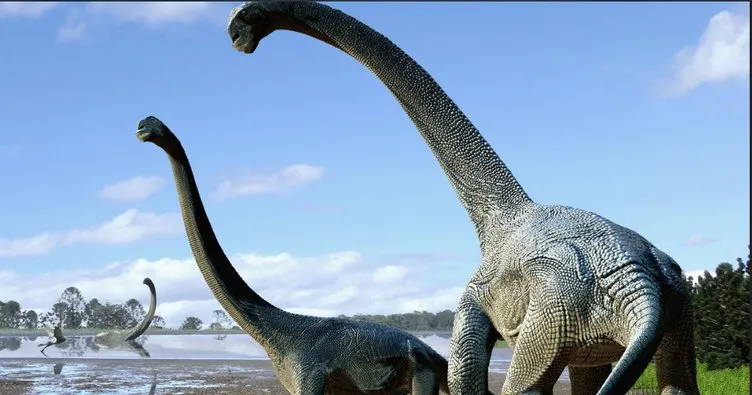 Meksika’da yeni dinozor türü keşfedildi
