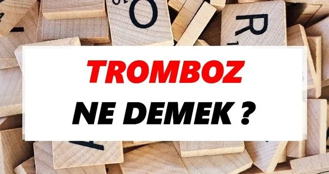 Tromboz Ne Demek? TDK’ya Göre Tromboz Sözlük Anlamı Nedir?