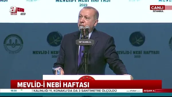 Başkan Erdoğan: Dünyanın başka bir yerinde örneği yoktur!