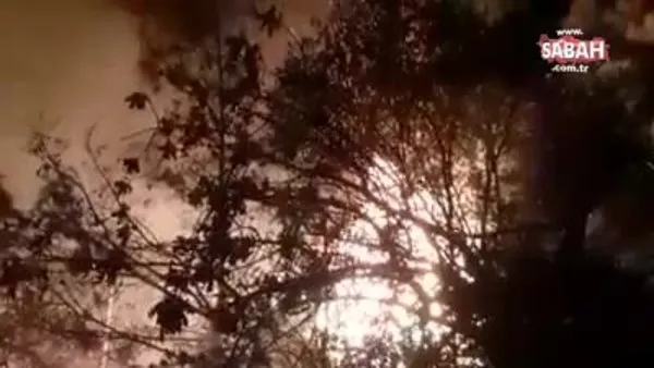 Dünyaca ünlü Kabak koyunda yangın çıktı | Video