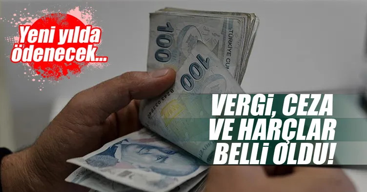 İşte vergi ve cezalara gelecek zamlar