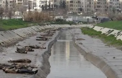 Suriye’de savaş suçu bu kez nehirden çıktı