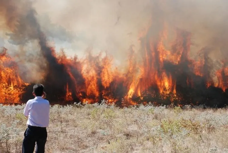Bayramiç’te orman yangını köye sıçradı