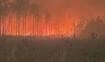 Bir balon eyaleti yaktı!