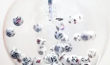 On Numara sonuçları açıklandı!  MPİ Milli Piyango 13 Haziran ON NUMARA BİLET SORGULAMA EKRANI: