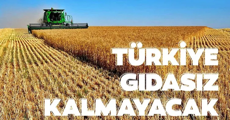 Türkiye gıdasız kalmayacak