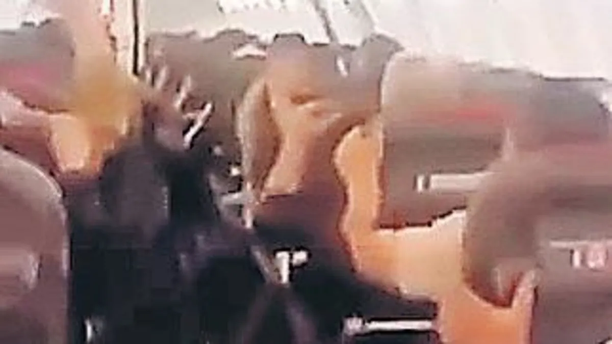 Yolcu uçağının havada tavanı çöktü haber görseli
