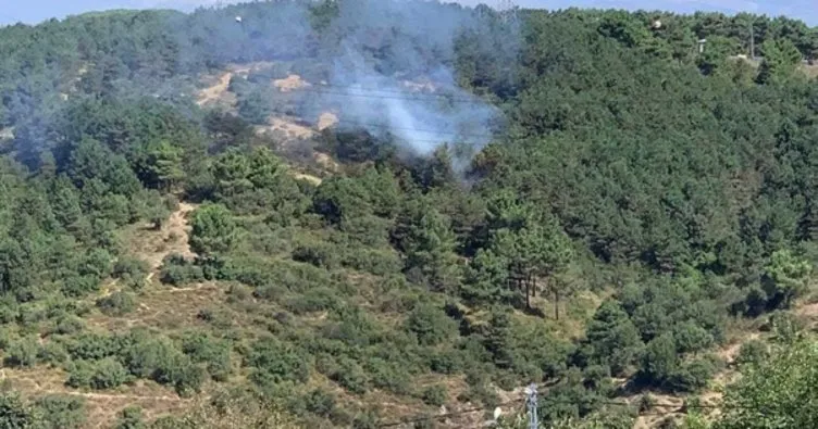 Son dakika: İstanbul Sultangazi’de orman yangını! Ekipler müdahale ediyor