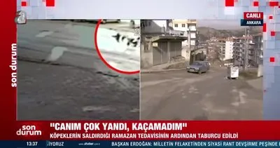 Ankara’da köpeklerin saldırdığı 10 yaşındaki Ramazan Aslan Beni parçaladılar