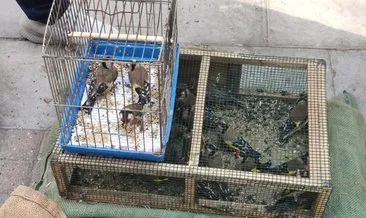 Polisin kurtardığı kuşlar özgürlüğe kanat çırptılar #adana