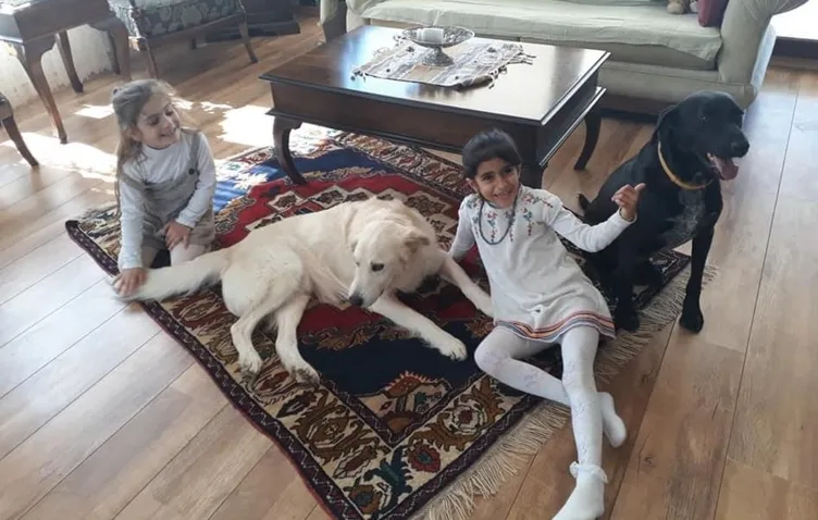 İzmir’de 3 çocuğunu öldüren cani baba da öldü! Katliam kurbanı çocukların yeni görüntüleri ortaya çıktı