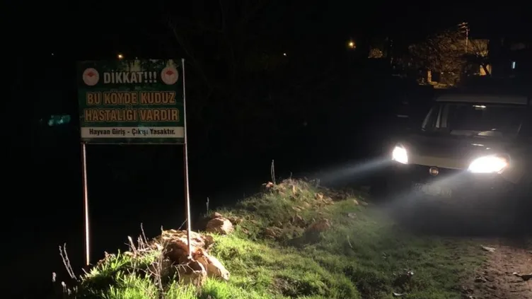 9 yaşındaki çocuk kuduz nedeniyle öldü! Ailesi acı haberi alınca yıkıldı!