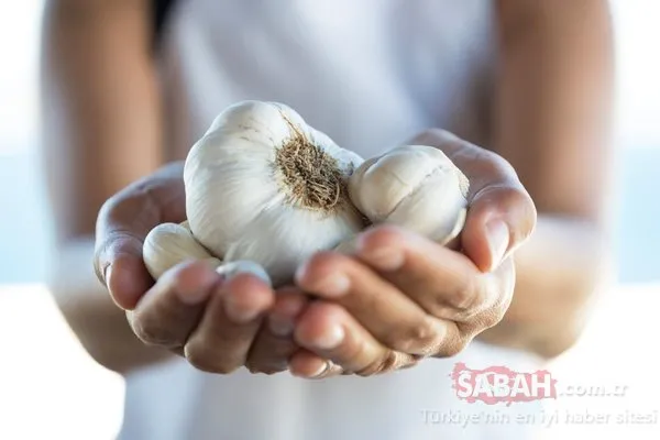 Mucize besin sadece 2 ayda kanser riskini azaltıyor... İşte kanserden koruyan adeta ömür uzatan besinler ve faydaları...