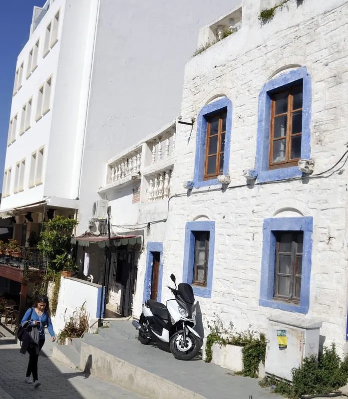 Bodrum�un akrep savar evleri, yeni sezonu bekliyor Galeri Emlak
