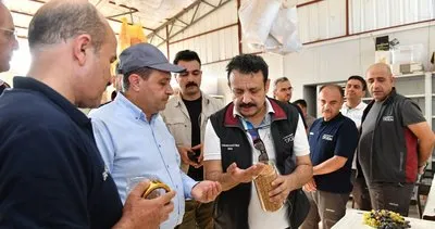 Vali Şıldak, GAP tarımsal araştırma istasyonlarını inceledi #sanliurfa