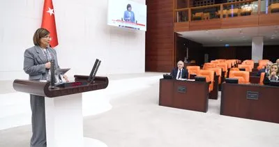 AK Partili Hanım Ağa: Elimi değil, gövdemi taşın altına koymaya hazırım #diyarbakir