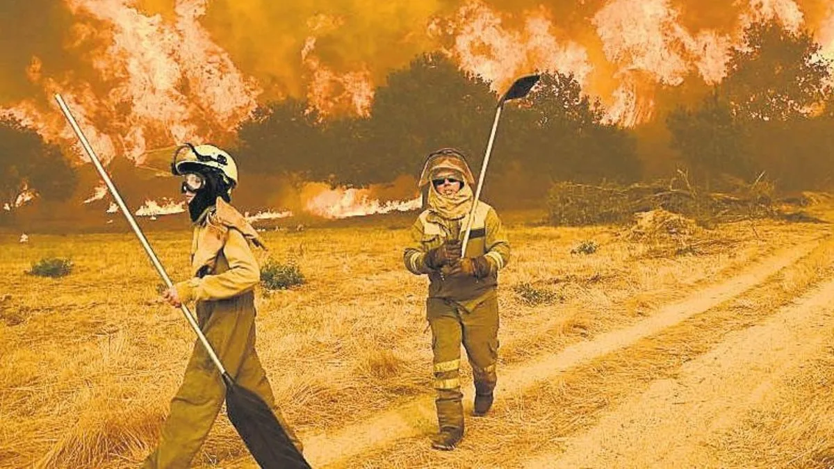 Aşırı sıcakların Avrupa’ya maliyeti 43 milyar euro Aşırı sıcakların Avrupa’ya maliyeti 43 milyar euro