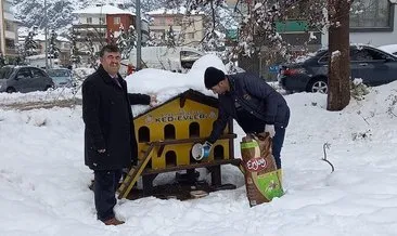 Sokak hayvanları için belediye kolları sıvadı #amasya