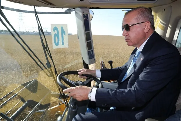 Başkan Erdoğan  Geleneksel Hasat Bayramı kapsamında buğday hasadı yaptı