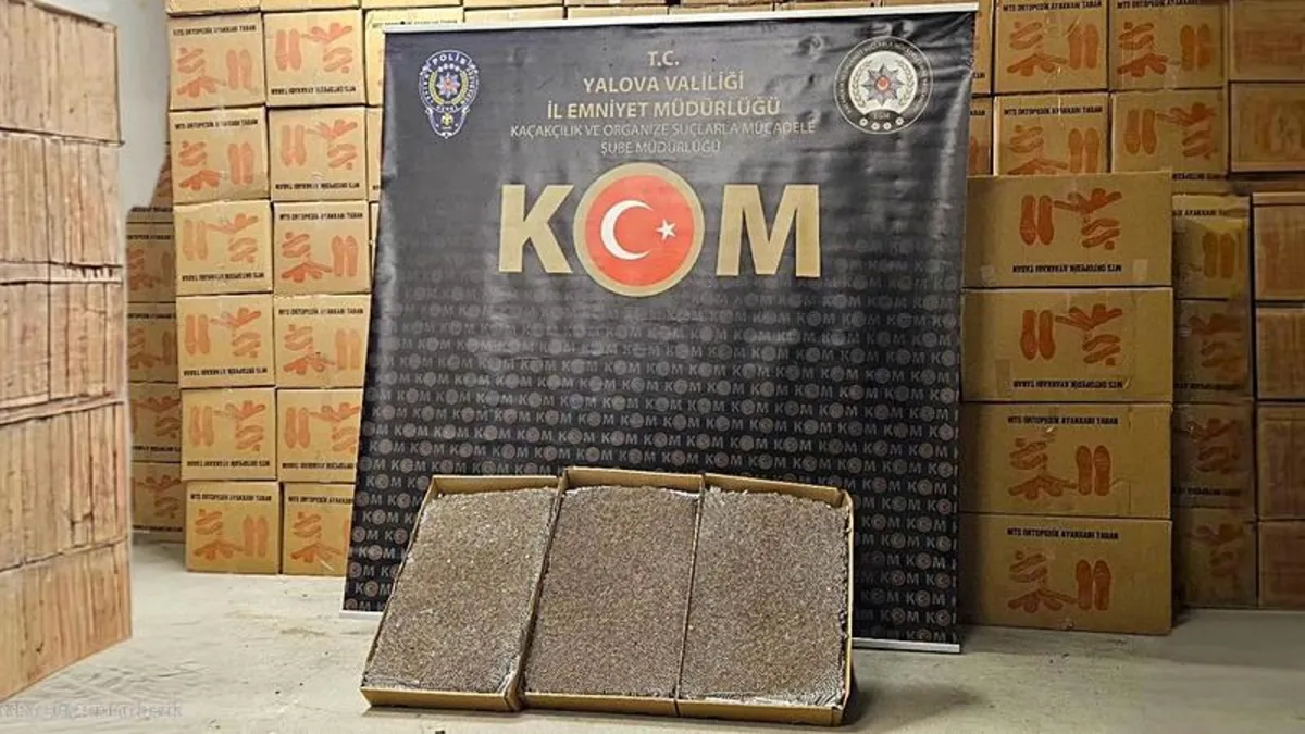 Yalova’da 3 milyon adet dolu makaron ele geçirildi Yalova’da 3 milyon adet dolu makaron ele geçirildi
