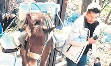 Telefonla oynarken canından olacaktı