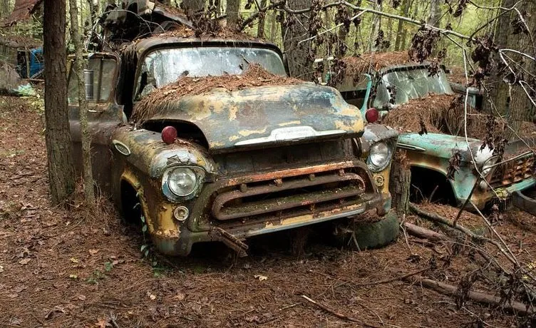 Ormandaki araba mezarlığının sırrı