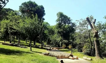 Kesilen ceza 130 kat uygulanmalı